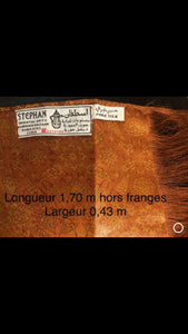 Écharpe en soie à franges
